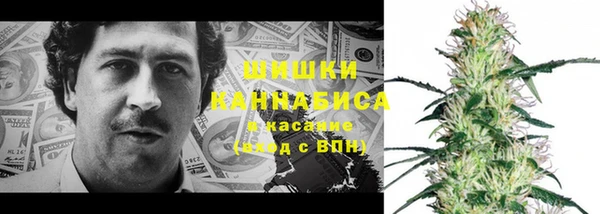 прущие грибы Арсеньев