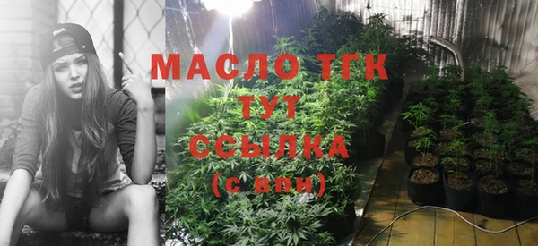 прущие грибы Арсеньев