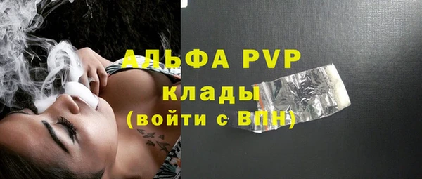 прущие грибы Арсеньев