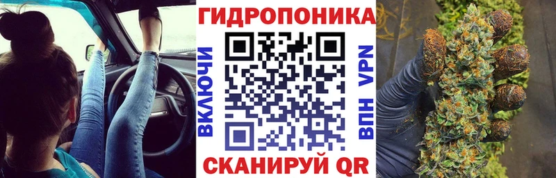 Бошки Шишки гибрид  Купить закладки  Никольское 